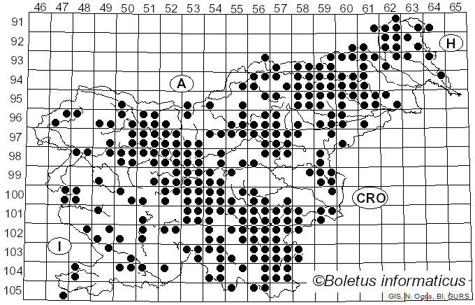 <i>Hypholoma fasciculare</i> (Huds.) Quél. (1871)
