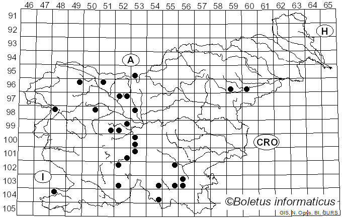 <i>Hymenochaete cruenta</i> (Pers.) Donk (1959)