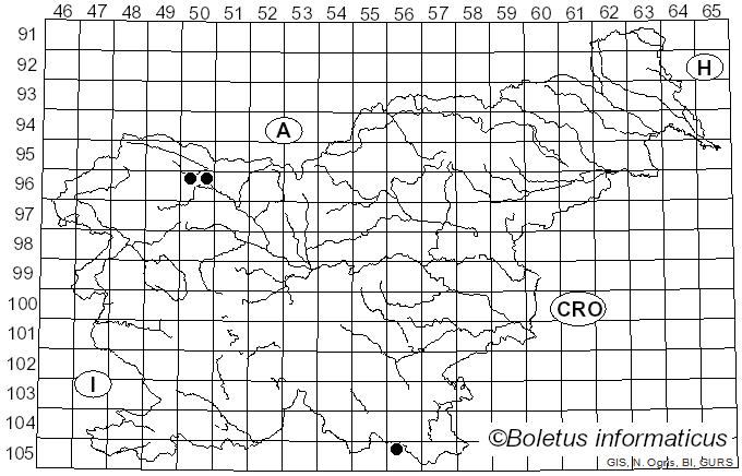 <i>Juglanconis appendiculata</i> Voglmayr & Jaklitsch (2017)