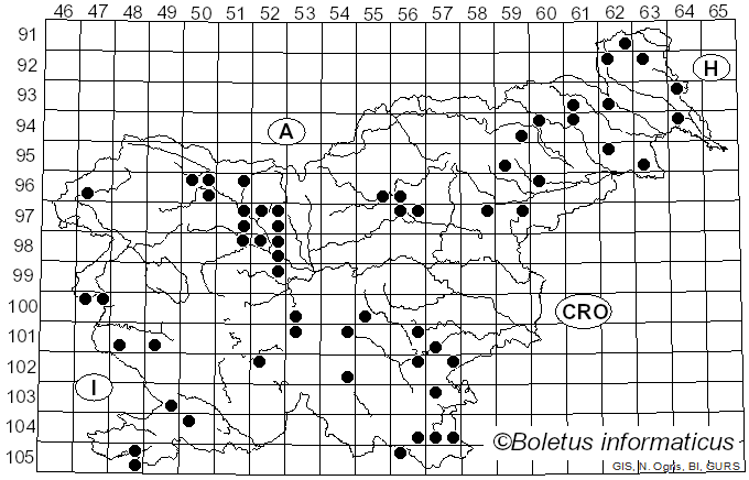 <i>Fomitiporia</i> Murrill (1907)