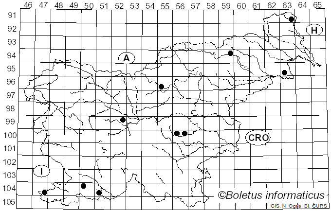 <i>Hortiboletus engelii</i> (Hlaváček) Biketova & Wasser (2015)