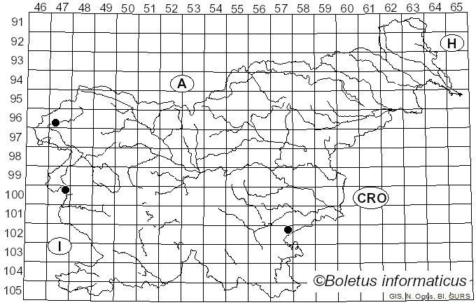 <i>Conocybe pygmaeoaffinis</i> (Fr.) Kühner (1935)