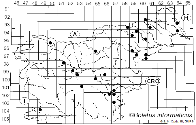 <i>Coriolopsis gallica</i> (Fr.) Ryvarden (1973)