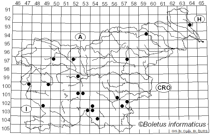 <i>Calonarius aureofulvus</i> (M.M. Moser) Niskanen & Liimat. (2022)
