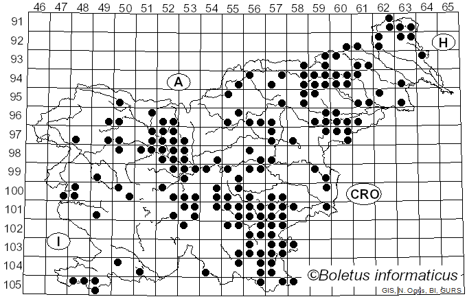 <i>Trichaptum biforme</i> (Fr.) Ryvarden (1972)