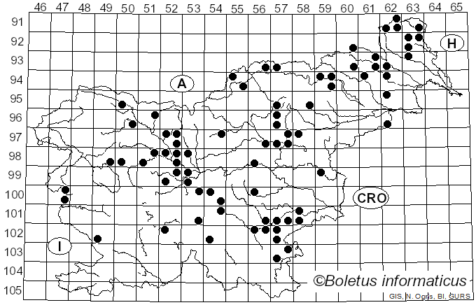 <i>Cortinarius armillatus</i> (Alb. & Schwein.) Fr.