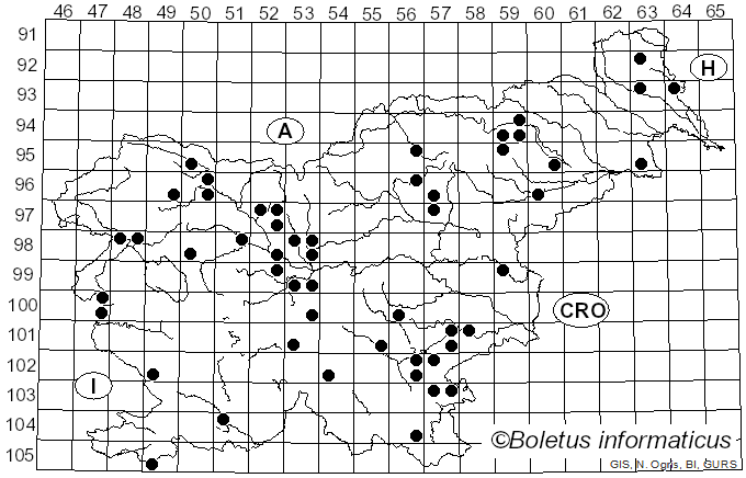 <i>Asterophora lycoperdoides</i> Ditmar (1809)