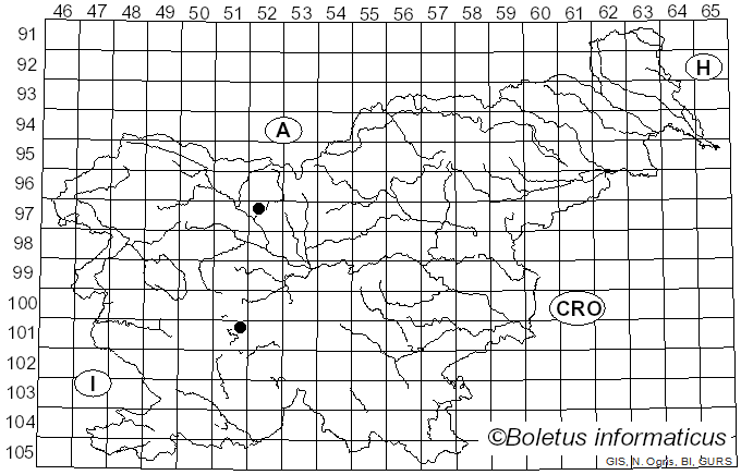 <i>Ferdinandea cuprea</i> Scopoli (1763)