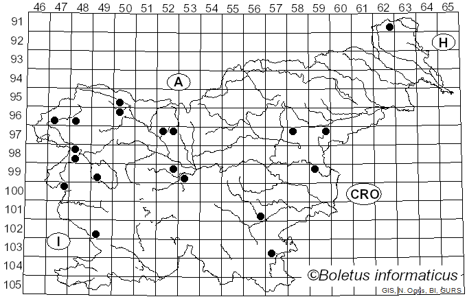 <i>Hygrocybe intermedia</i> (Pass.) Fayod (1889)
