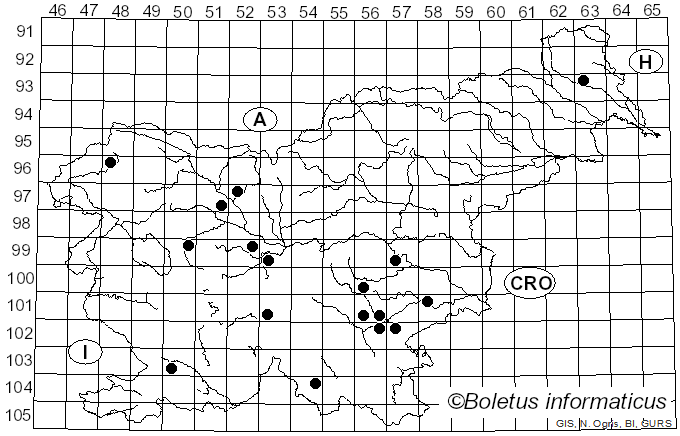 <i>Hydnellum spongiosipes</i> (Peck) Pouzar (1960)