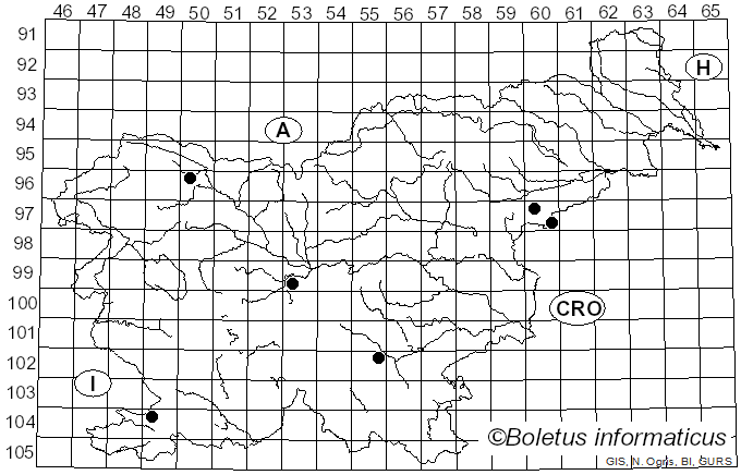 <i>Mycoacia livida</i> (Pers.) Zmitr. (2018)