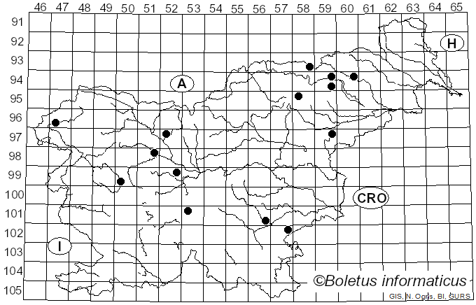 <i>Cortinarius umbrinolens</i> P.D. Orton (1980)