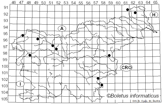 <i>Handkea</i> Kreisel (1989)