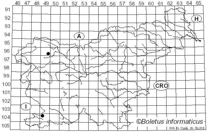 <i>Coprinopsis cordispora</i> (T. Gibbs) Watling & M.J. Richardson (2010)
