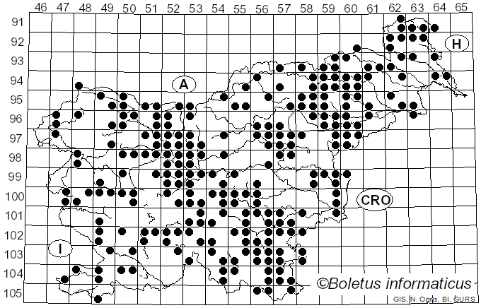 <i>Schizophyllum</i> Fr. (1815)