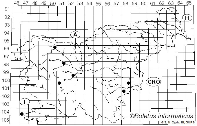 <i>Stigmella incognitella</i> Herrich-Schäffer (1855)