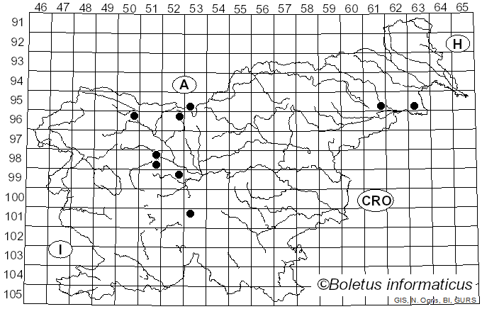 <i>Rhodonia</i> Niemelä (2005)