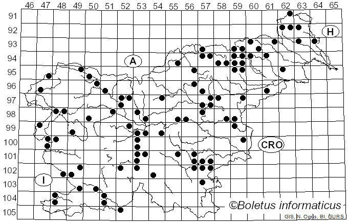 <i>Ramaria sanguinea</i> (Pers.) Quél. (1888)