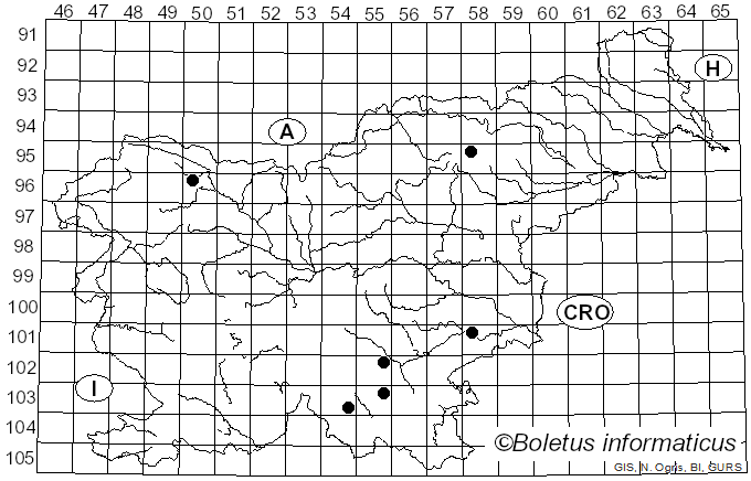 <i>Hypochnicium</i> J. Erikss. (1958)