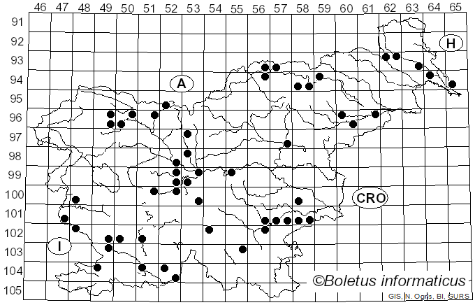 <i>Lophodermium</i> Chevall. (1826)