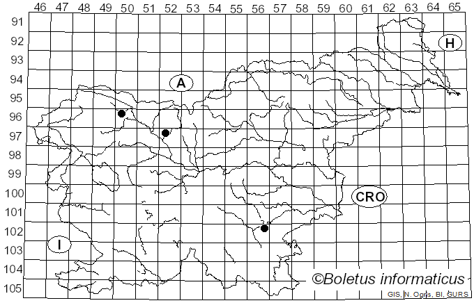 <i>Capitotricha bicolor</i> (Bull.) Baral (1985)