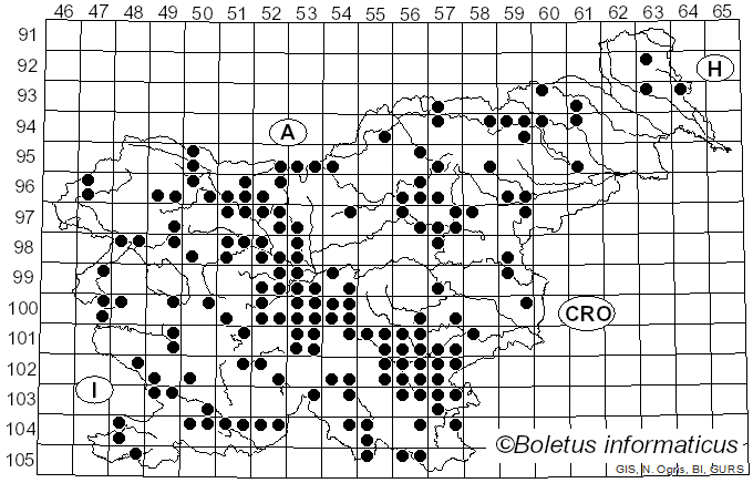 <i>Russula aurea</i> Pers. (1796)