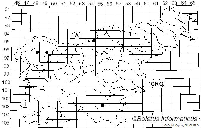 <i>Herpotrichia juniperi</i> (Duby) Petr. (1925)