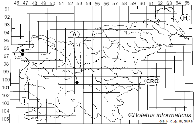 <i>Leccinum albostipitatum</i> den Bakker & Noordel. (2005)