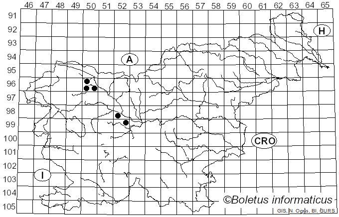 <i>Byssostilbe stilbigera</i> (Berk. & Broome) Petch (1912)
