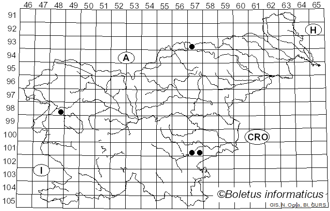 <i>Coniophora puteana</i> (Schumach.) P. Karst. (1868)