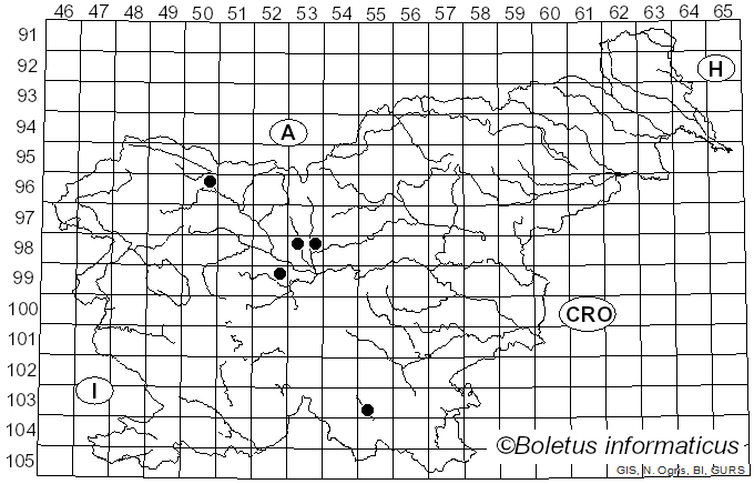 <i>Venturia inaequalis</i> (Cooke) G. Winter (1875)