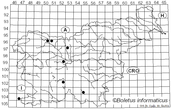 <i>Puccinia malvacearum</i> Bertero ex Mont. (1852)