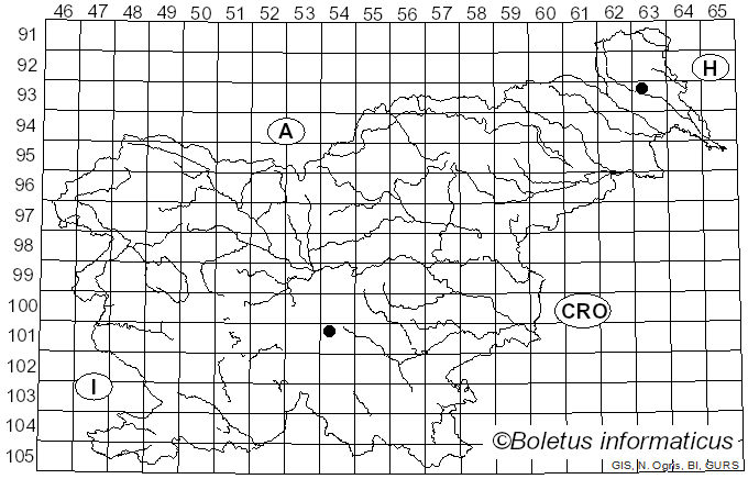 <i>Lactarius terenopus</i> Romagn. (1957)