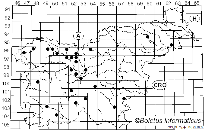 <i>Discina</i> (Fr.) Fr. (1849)