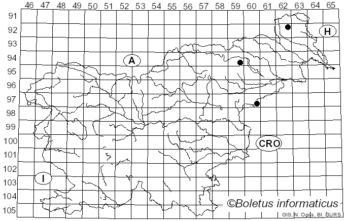 <i>Tricholoma roseoacerbum</i> A. Riva (1984)