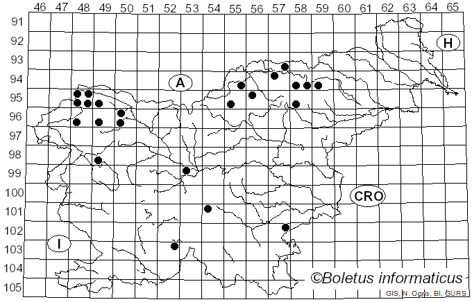 <i>Parmelina quercina</i> (Willd.) Hale (1974)