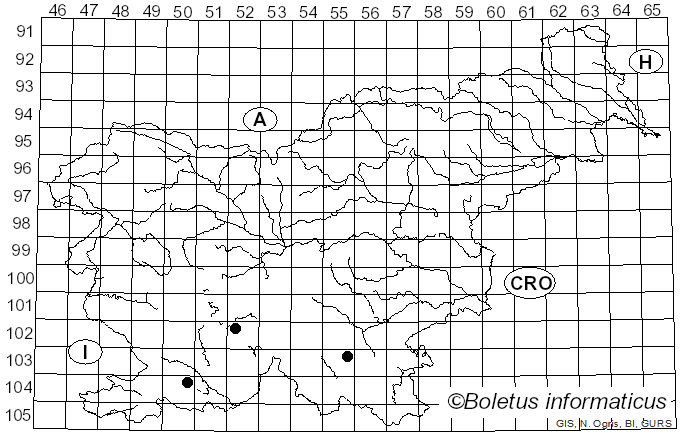 <i>Ceriporia excelsa</i> (S. Lundell) Parmasto (1959)