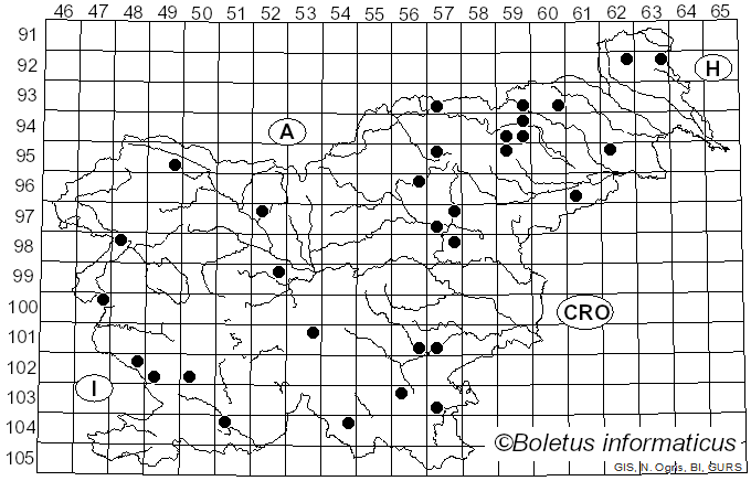 <i>Agaricus macrocarpus</i> (F.H. Møller) F.H. Møller (1952)