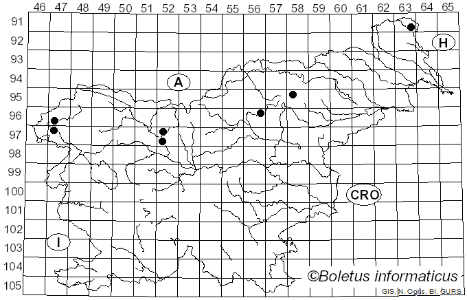 <i>Cortinarius illibatus</i> Fr. (1838)