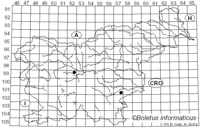 <i>Hohenbuehelia cyphelliformis</i> (Berk.) O.K. Mill. (1986)