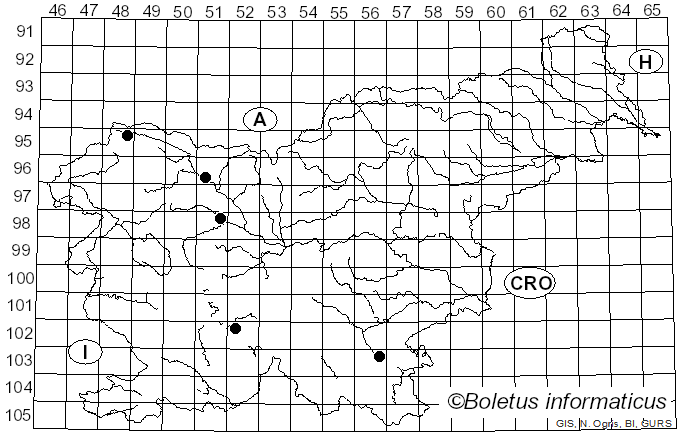 <i>Sporophagomyces chrysostomus</i> (Berk. & Broome) K. Põldmaa & Samuels (1999)
