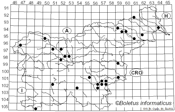<i>Gymnopus aquosus</i> (Bull.) Antonín & Noordel. (1997)