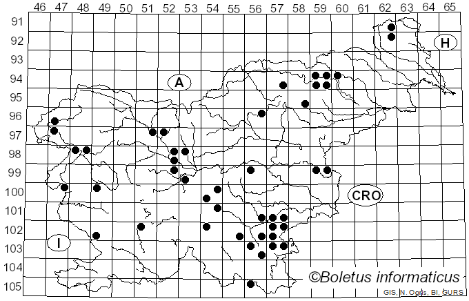 <i>Lactarius fluens</i> Boud. (1899)