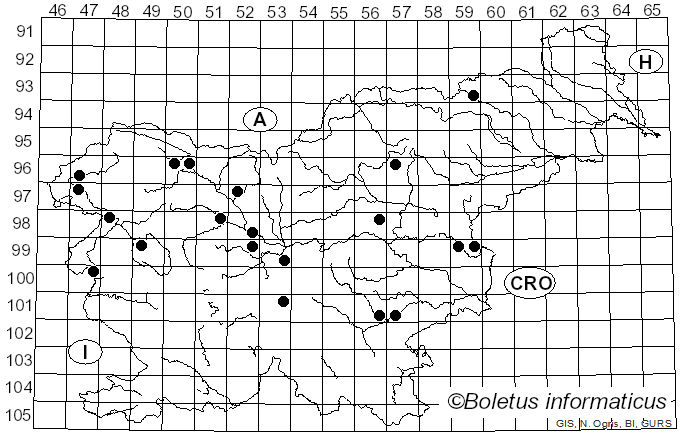 <i>Porpolomopsis calyptriformis</i> (Berk.) Bresinsky (2008)