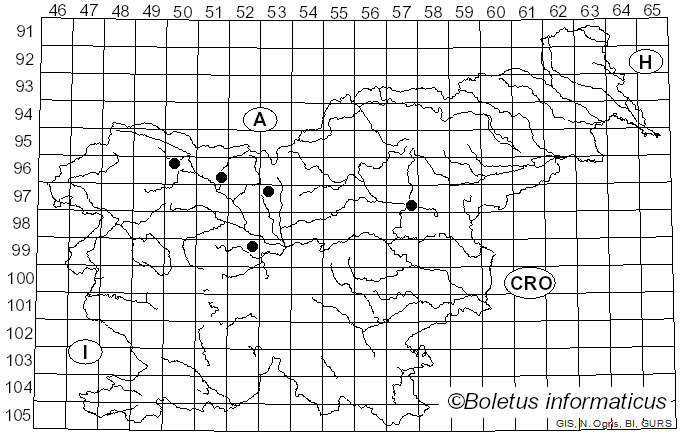 <i>Cyphellopsis anomala</i> (Pers.) Donk (1931)