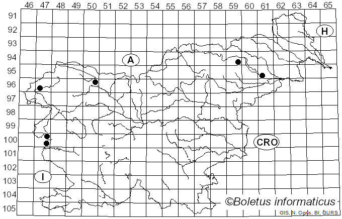 <i>Psathyrella microrhiza</i> (Lasch) Konrad & Maubl. (1948)