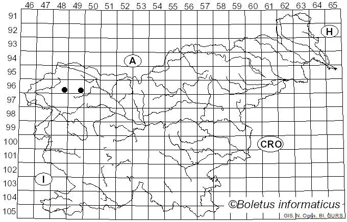 <i>Lecidea betulicola</i> (Kullh.) H. Magn. (1936)