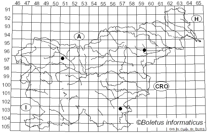 <i>Naematelia aurantia</i> (Schwein.) Burt (1921)