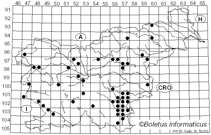 <i>Lactarius flavidus</i> Boud. (1887)