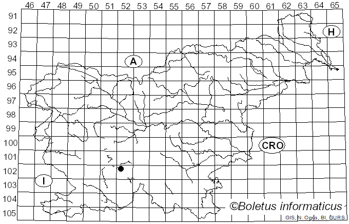 <i>Agaricus iodosmus</i> Heinem. (1965)